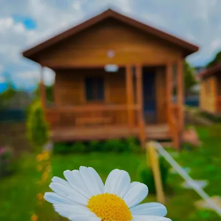Bed & Breakfast Gel Goer Ahsap *